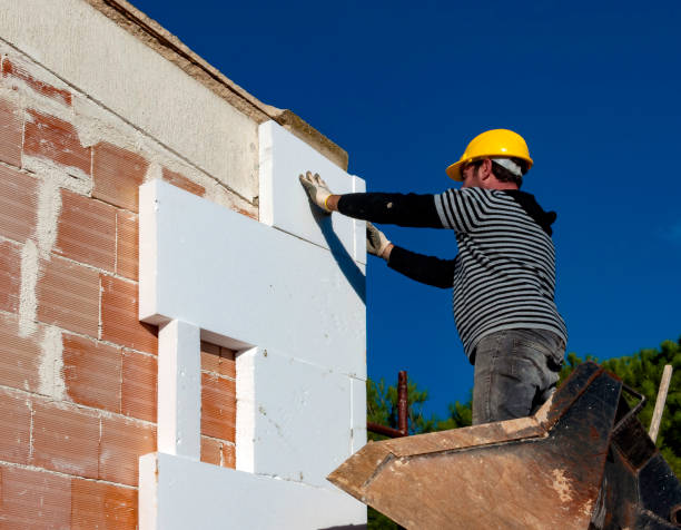 Best Insulation Installation Services in Chevy Chase View, MD