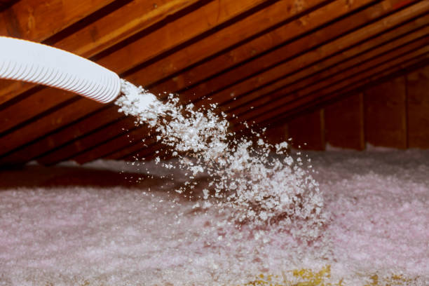 Best Specialty Insulation in Chevy Chase View, MD