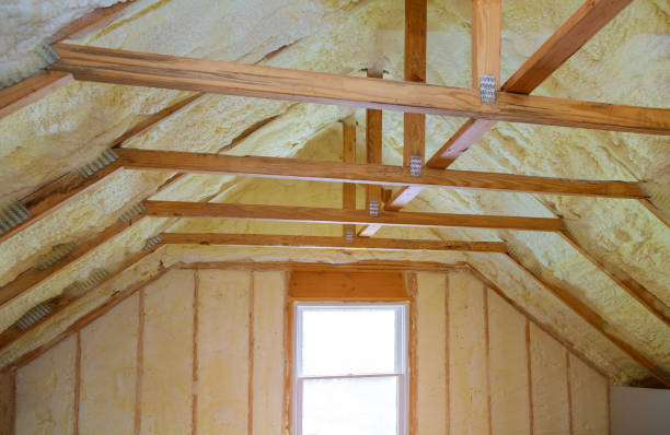 Best Insulation Maintenance and Repair in Chevy Chase View, MD
