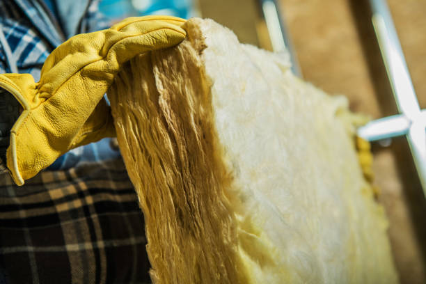 Best Insulation Materials and Products in Chevy Chase View, MD